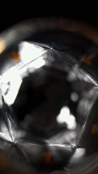 Lyric x Pilsnerish: ANNIVERSARY II Glass
